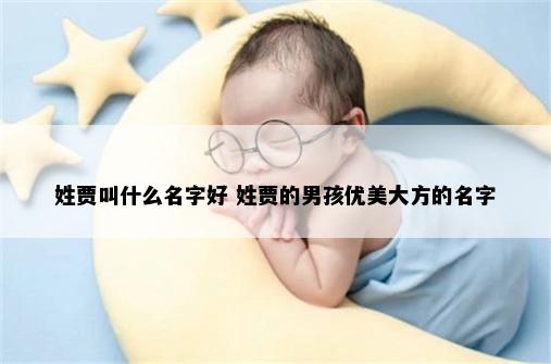 姓贾叫什么名字好 姓贾的男孩优美大方的名字